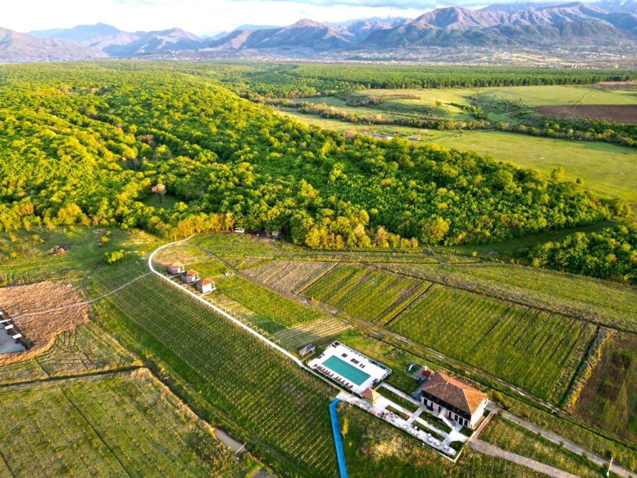 Chateau Vartsikhe Экстерьер фото